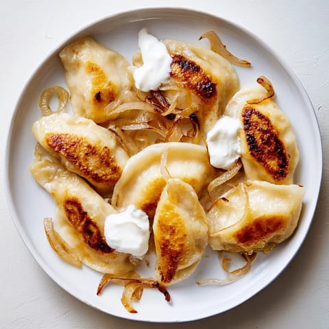 Polish pierogi potato cheese